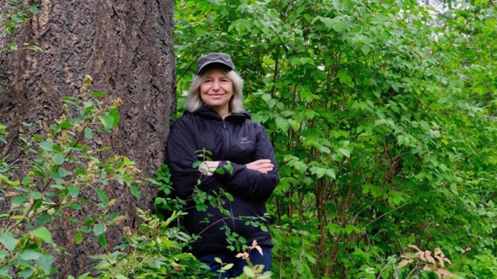 B.C. professor’s Mother Tree research branches out to bestselling book, movie deal – Peace …
