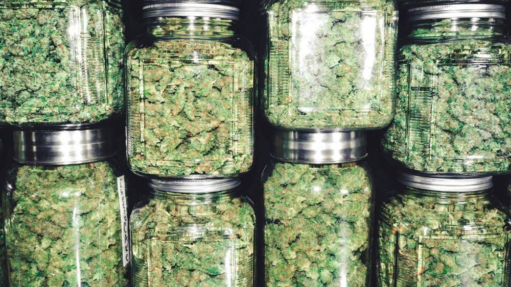 Cannabis Stocks Jump up to 20% From Aurora Cannabis News | The Motley Fool Canada