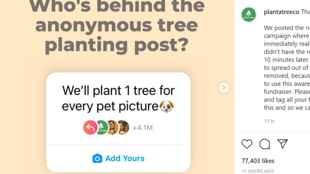 ‘One tree for every pet picture’ trend appears to mislead millions on Instagram | Express & Star
