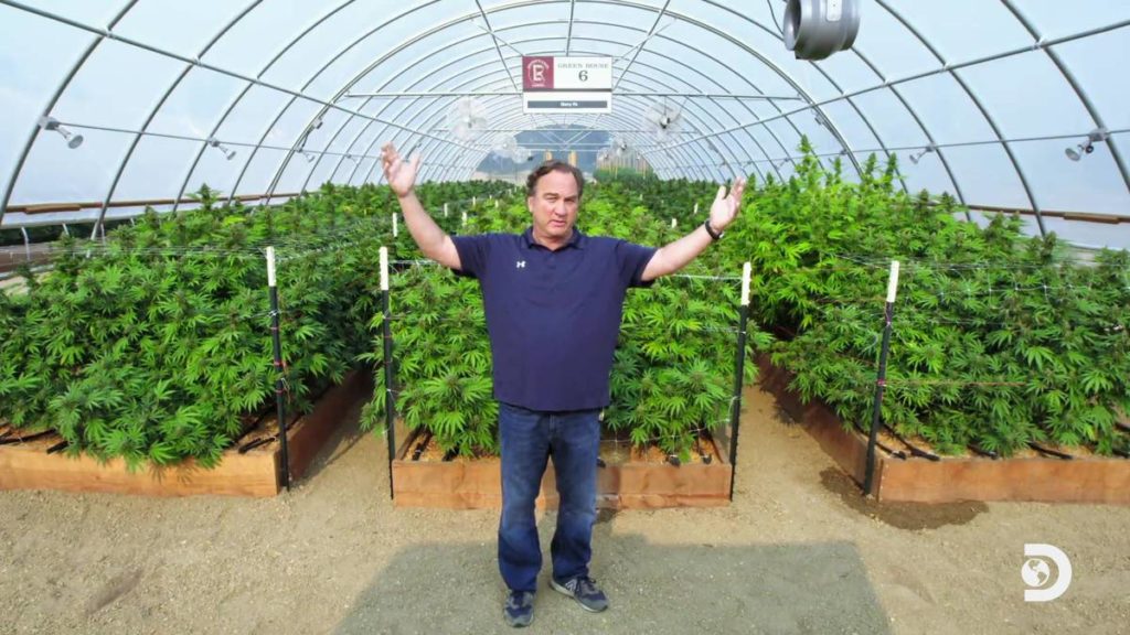 Growing Belushi: How Jim Belushi went from Hollywood star to cannabis farmer – NZ Herald