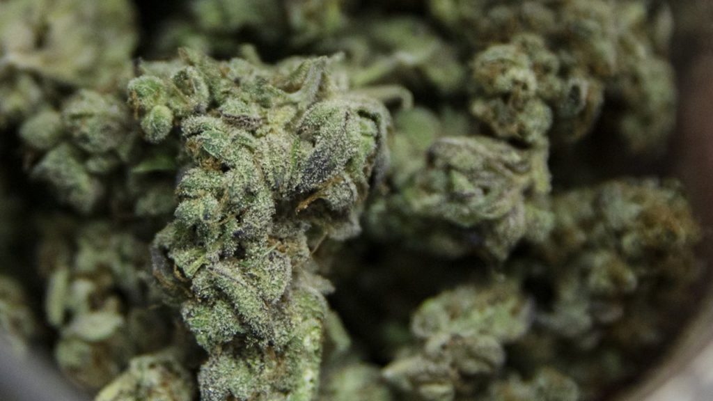 White Flower Cannabis recreational marijuana shop prepares for grand opening in Paw …
