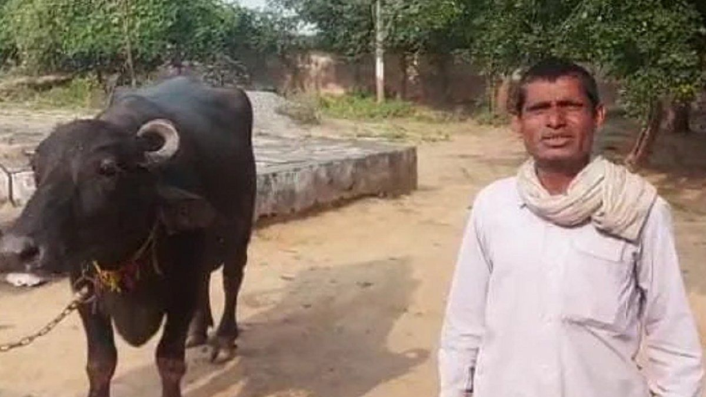 Viral news: Troubled by buffalo, Madhya Pradesh farmer files police complaint – Times Now