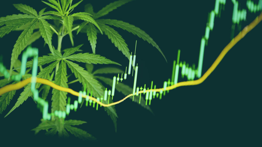 TLRY or SNDL: Which Cannabis Stock Is A Better Pick? – TheStreet