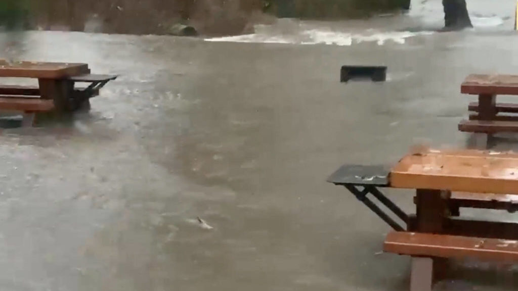 VIDEO: Goldstream salmon swim beside picnic tables amid surging stormwaters – Victoria News
