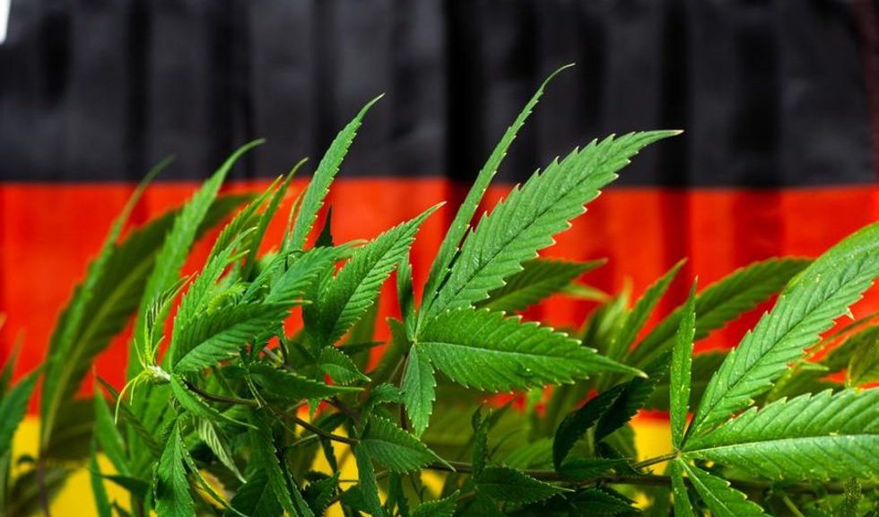 US Cannabis Leader Backs German Operator | INN – Investing News Network
