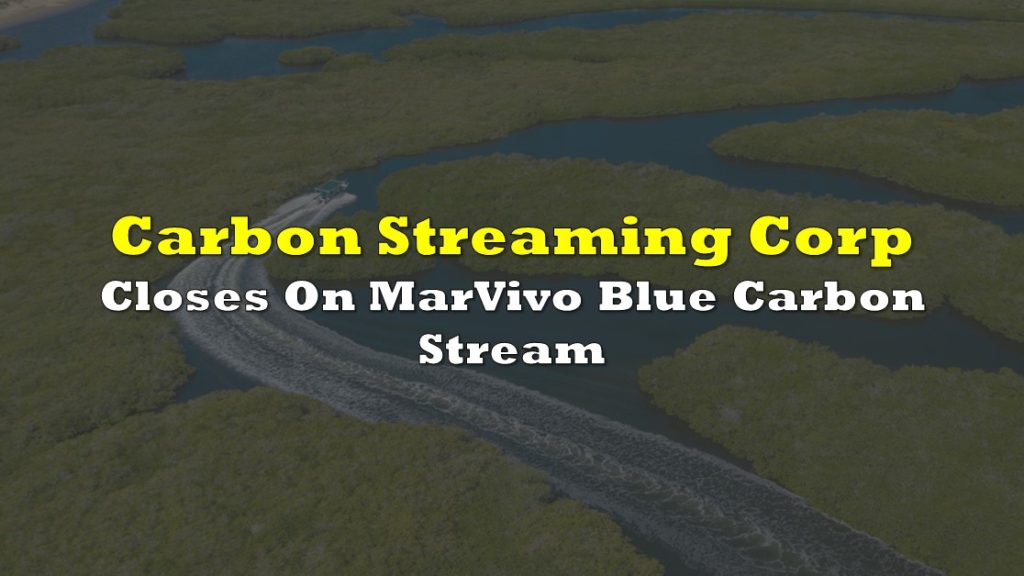 Carbon Streaming Corp Closes On MarVivo Blue Carbon Stream | the deep dive