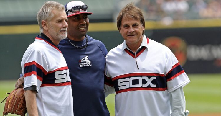 Former White Sox pitcher LaMarr Hoyt dies at 66 after lengthy illness