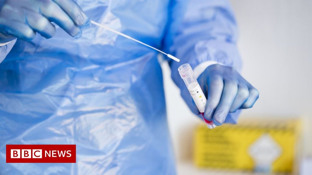 Covid PCR testing market labelled ‘rip-off jungle’ – BBC News