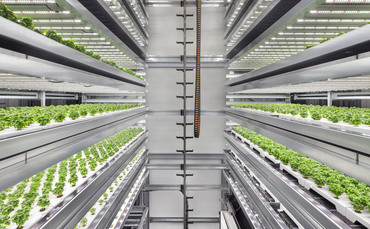 Infarm raises $200m to support global expansion of vertical farms | BusinessGreen News