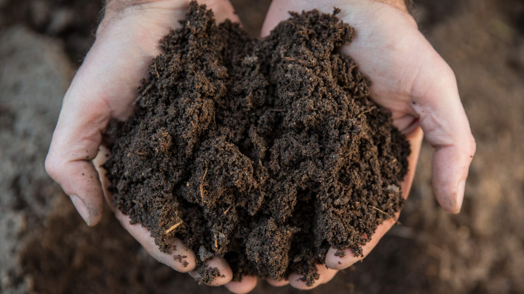 Making sense of the ‘gold rush’ of carbon | Farm Progress