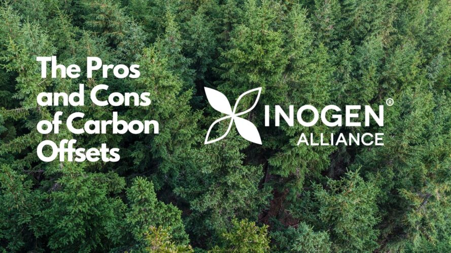 The Pros and Cons of Carbon Offsets – Environment + Energy Leader