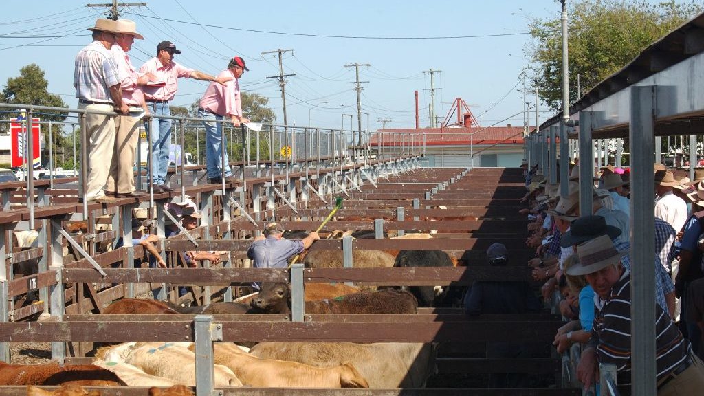 Livestock Market Reports for Week Ended 01-07-2022 – Southeast AgNET