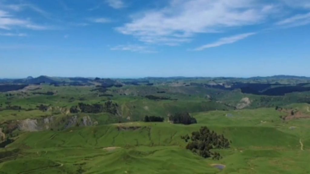 5000-hectare historic station on East Coast could soon be foreign-owned carbon farm | Newshub