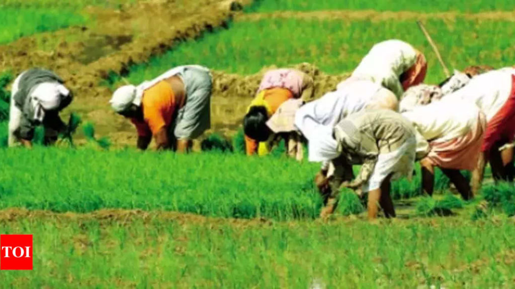 Budget 2022: Boosting farmer income, tech adoption key demand for agri sector – Times of India