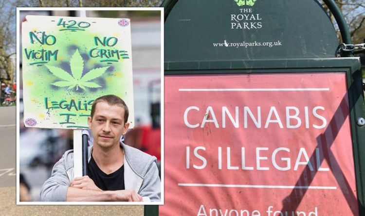 Cannabis: Should drug be legalised in the UK? London Mayor to launch new pilot scheme …