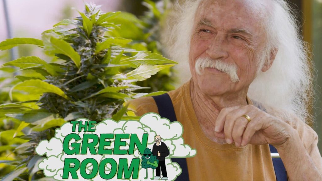 Rock legend David Crosby talks about cannabis, how to roll a joint – Texas News Today