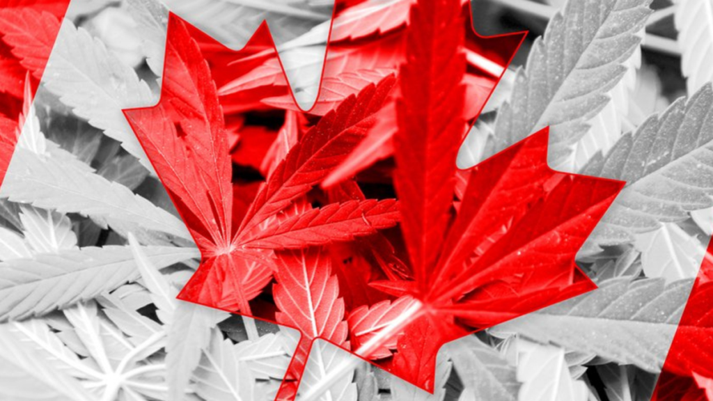 Is 2022 The Year The Canadian Cannabis Industry Finally Starts To Hit Its Growth Phase …