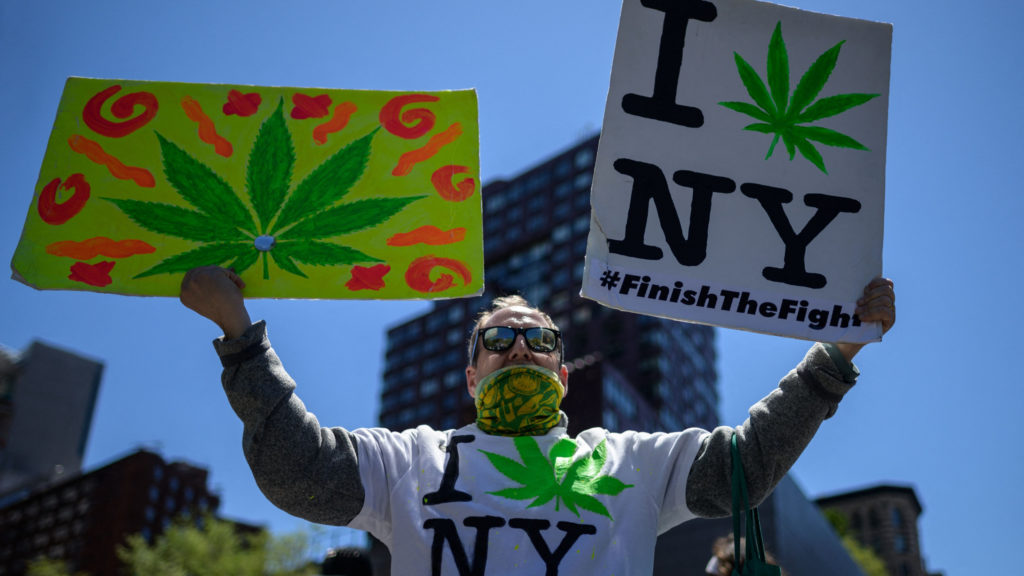 Fact Check: Did Studies Show That Marijuana Prevents COVID Transmission? – Newsweek