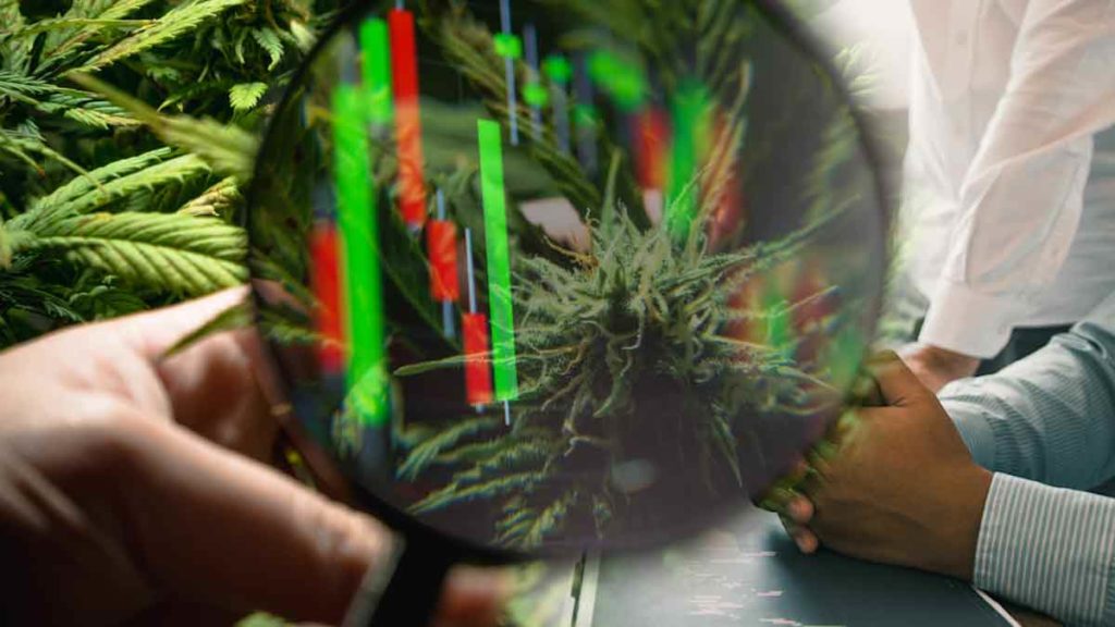 The Best US Marijuana Stocks To Watch In 2022 Right Now – Green Entrepreneur