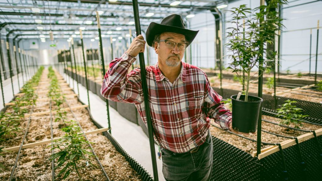 Jim Belushi on ‘Growing Belushi,’ his Oregon cannabis farm, and marijuana as ‘spiritual medicine’