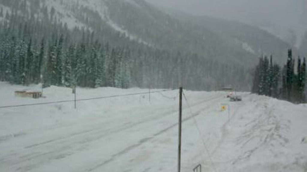 Avalanche control to close Highway 1 near Revelstoke – Victoria News