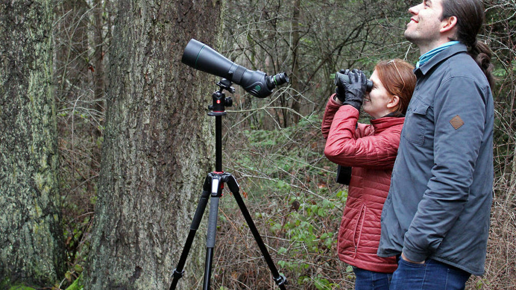 Bird-watching couple tout benefit of native plants to biodiversity in Saanich green spaces …