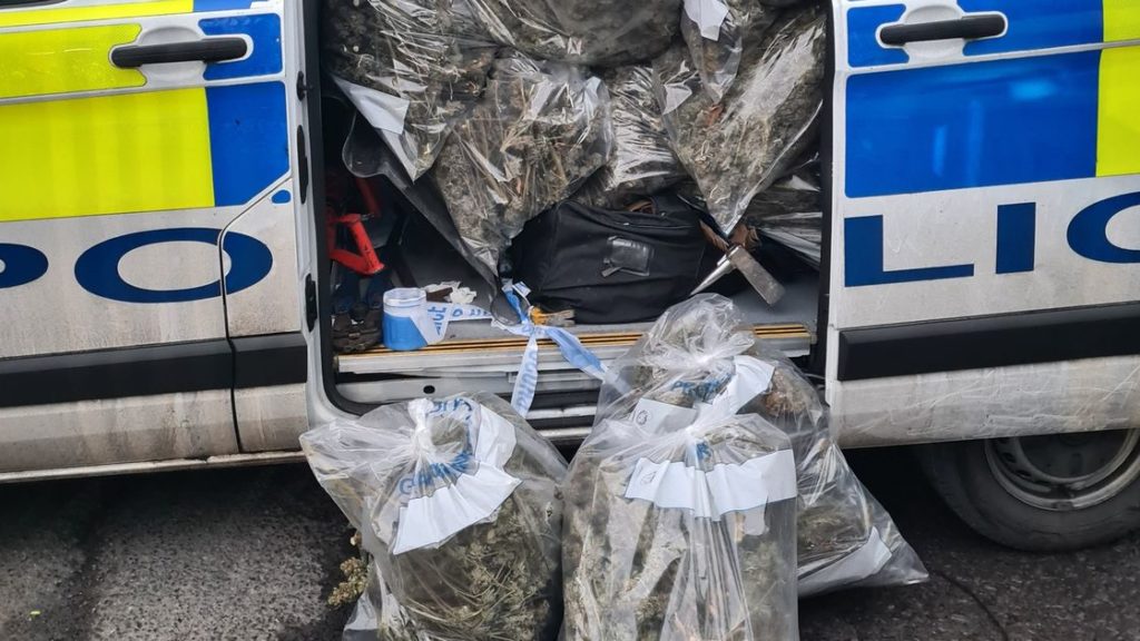 Police burn bags of cannabis plants uncovered from huge growing farm worth £750k …