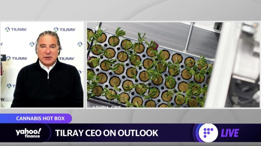 Cannabis: Tilray CEO explains why the company isn’t waiting for U.S. legalization ‘lottery ticket’