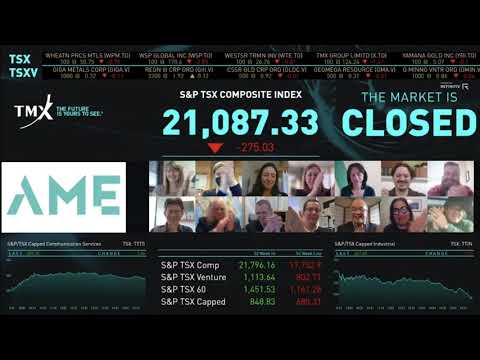 AME Roundup Virtually Closes the Market – Newswire.CA