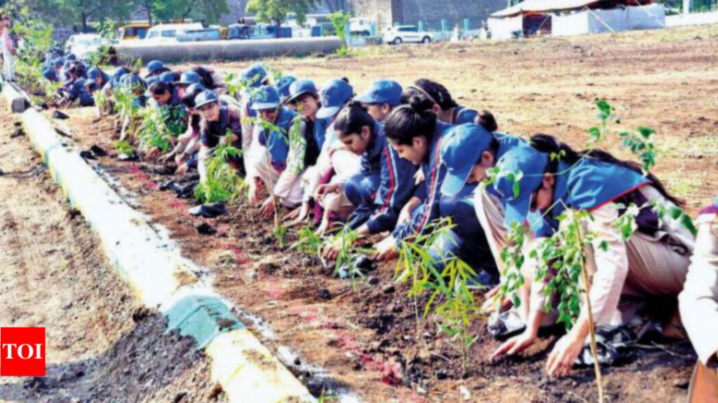 Over 80k Trees To Be Geo-tagged In Rajkot | Rajkot News – Times of India