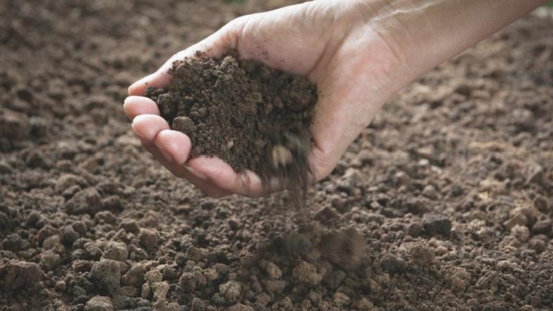 Carbon credits top the agenda of soil conference | paNOW