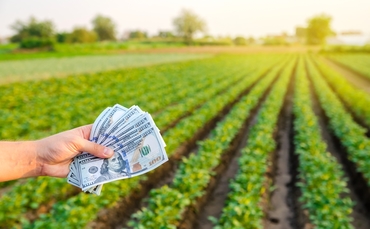 How to finance Scope 3 emissions reductions on farms | BusinessGreen Feature