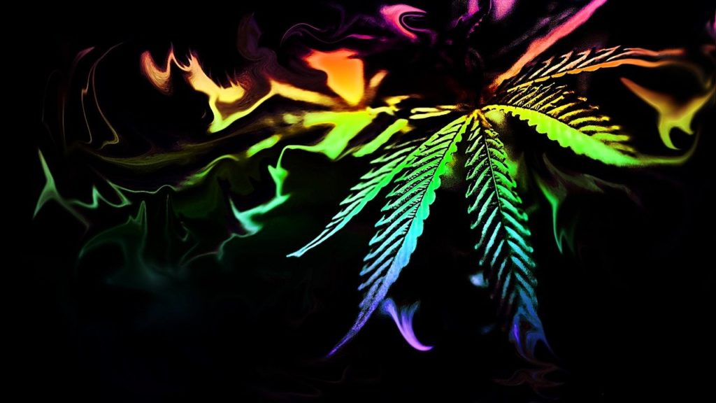 Comparing Psychedelics & Cannabis Stocks: Why Investors Are Asking the Wrong …