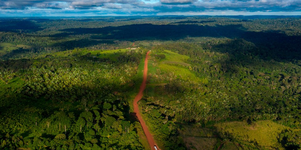 Minted NFTs to Save the Amazon Forest sell out in an hour – TechStory