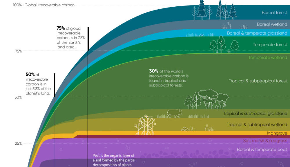 Irrecoverable Carbon: The Importance of Preventing Deforestation – Visual Capitalist