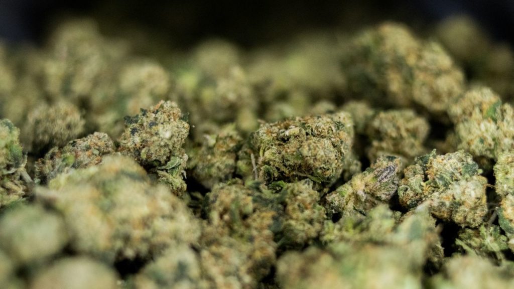 Michigan marijuana recall reversal let businesses sell contaminated cannabis – mlive.com