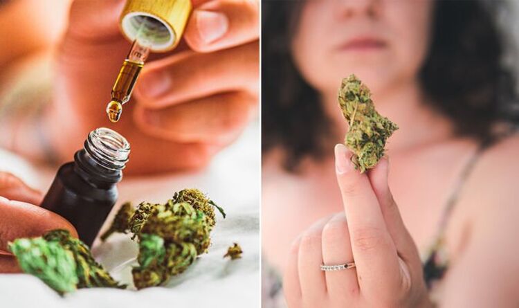 Medicinal cannabis UK: Expert comments on future use – ‘Shame it’s taken so long’ – Daily Express