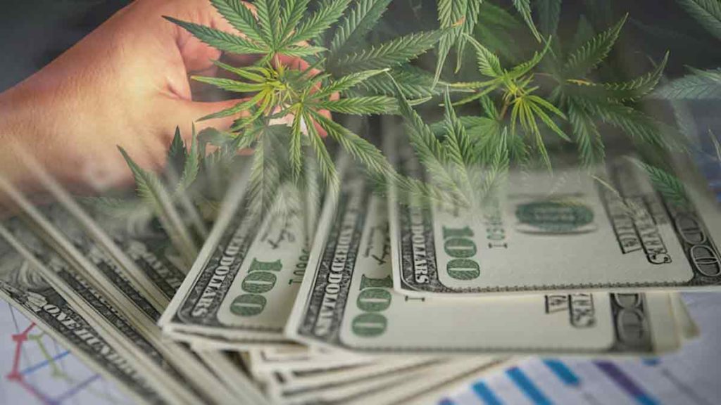 Best US Marijuana Stocks To Watch For Presidents Day – Green Entrepreneur