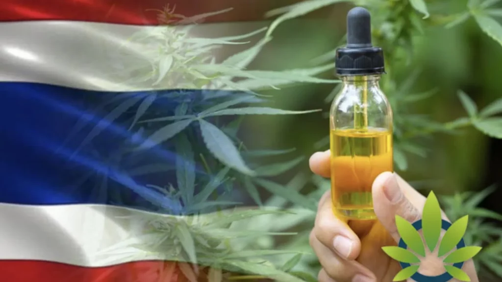 Study Finds 4.3% Of Thailand’s Adult Have Tried Cannabis CBD – Chiang Rai Times