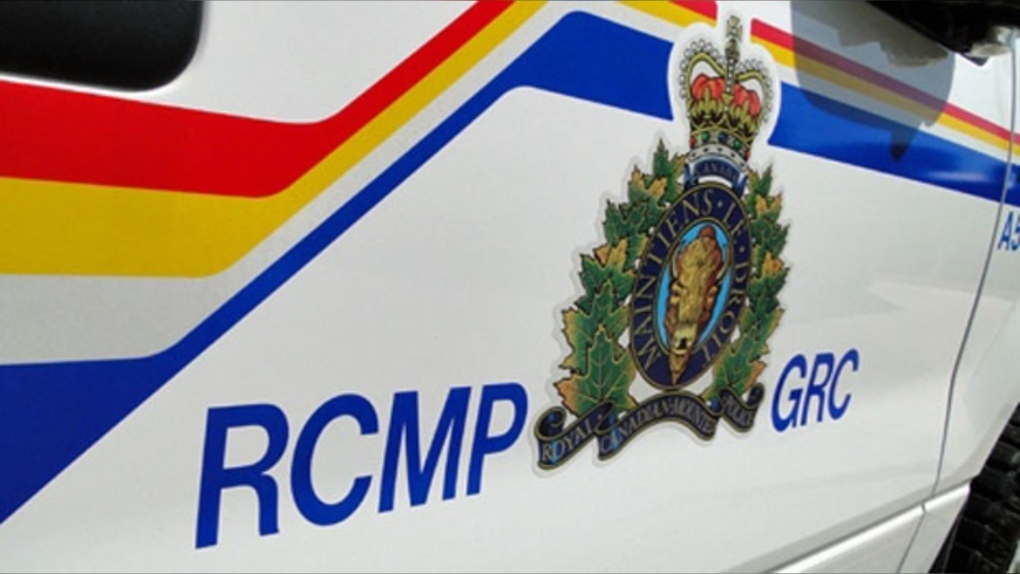 RCMP seize 440 cannabis plants worth $440K during Alberta traffic stop – CTV News Calgary