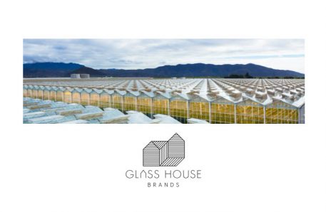 Glass House Q4 Revenue Increases 7% Sequentially to $18.4 Million – New Cannabis Ventures