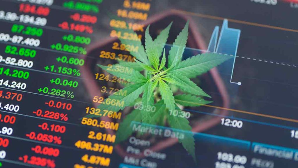 Top Marijuana Stocks To Check Out Over The Weekend – Green Entrepreneur