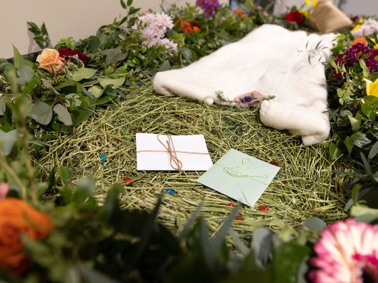 Body composting takes root in US ‘green’ burial trend | News-photos