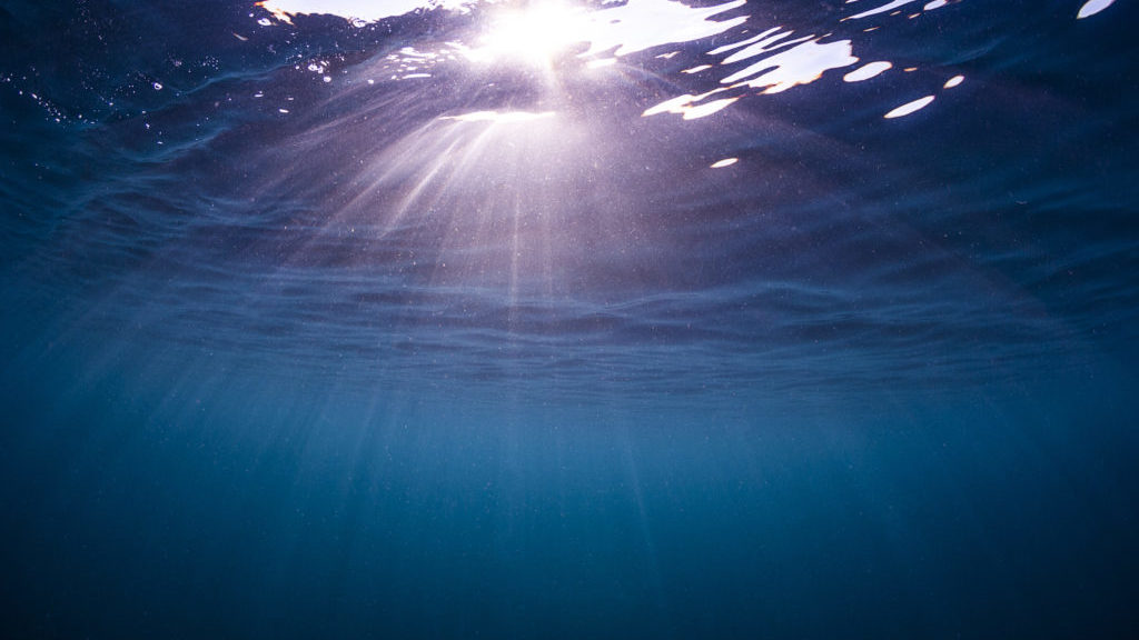 The ocean helps absorb our carbon emissions. We may be pushing it too far | PBS NewsHour