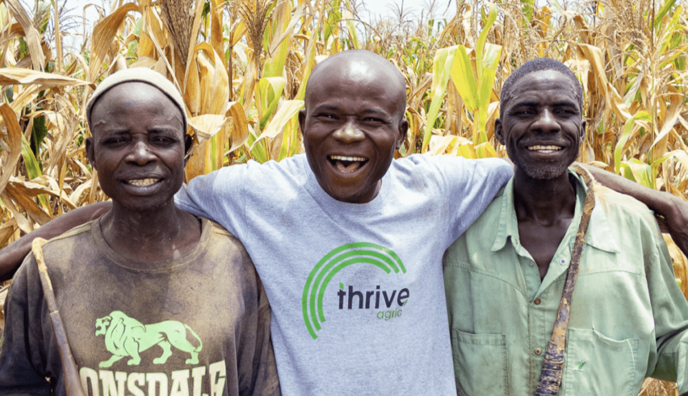 ThriveAgric, Apollo Ag score nearly $100m in big week for African agtech – AgFunder News