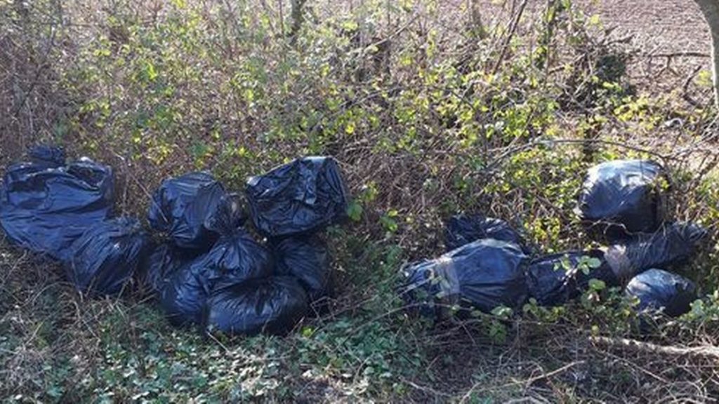 Debris from cannabis farm found fly-tipped in country lane hedges – Coventry Telegraph
