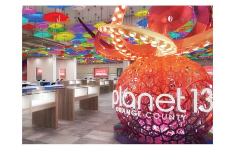 Planet 13 Q4 Revenue Declines 9% Sequentially to $29.9 Million – New Cannabis Ventures