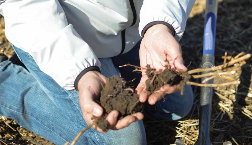 Carbon Contracts: Know What You’re Signing – No-Till Farmer