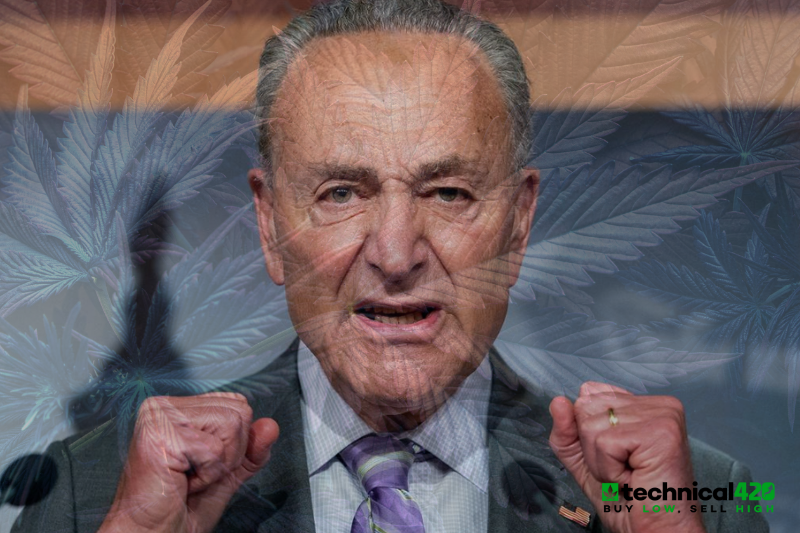 Is Chuck Schumer Attempting To Use Cannabis To Make A Run For The Presidency? – Technical420