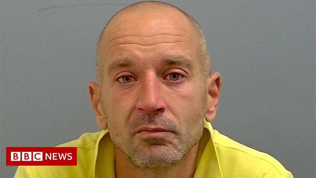 Van driver on cannabis killed apprentice in Bedfordshire crash – BBC News